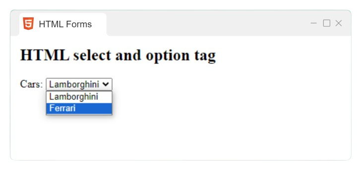 select and option tag output